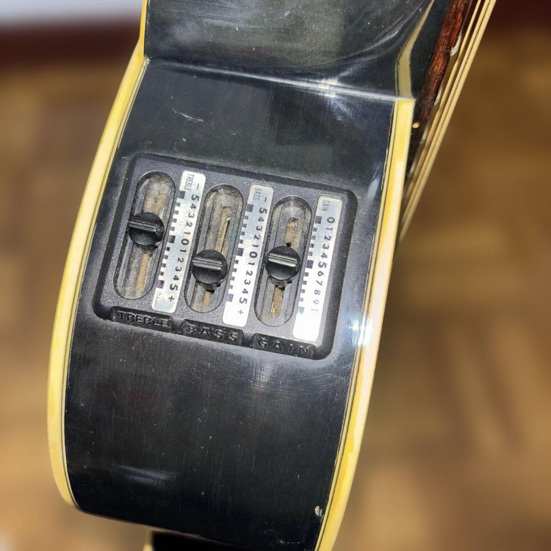 タカミネ　エレアコ