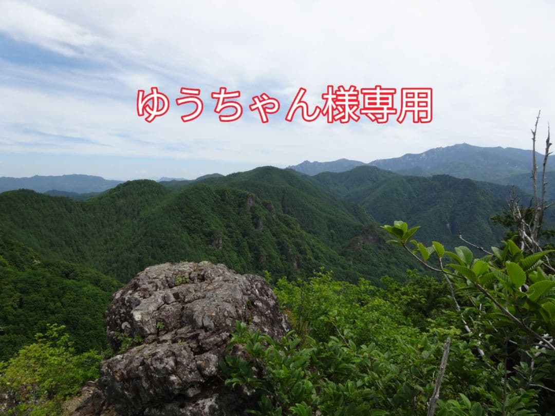 ゆうちゃん!!南砺ペグマタイト2点