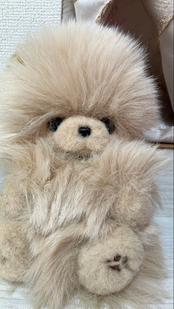 リカ⭐︎ベージュのふわふわポメラニアン♡