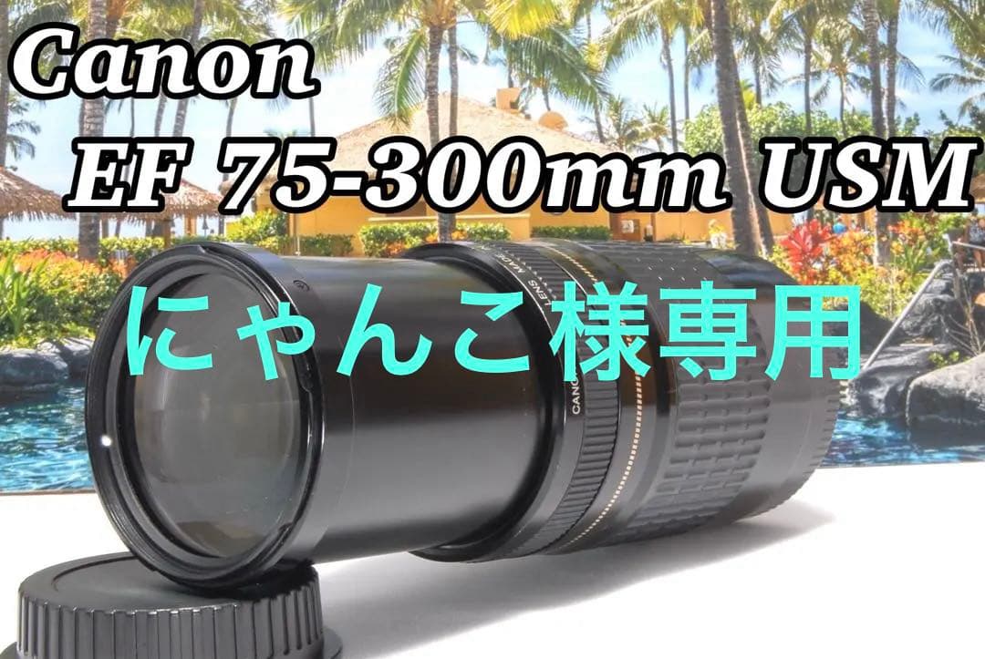 超望遠レンズ 大人気 卒業シーズン大活躍 Canon EF 75-300 USM