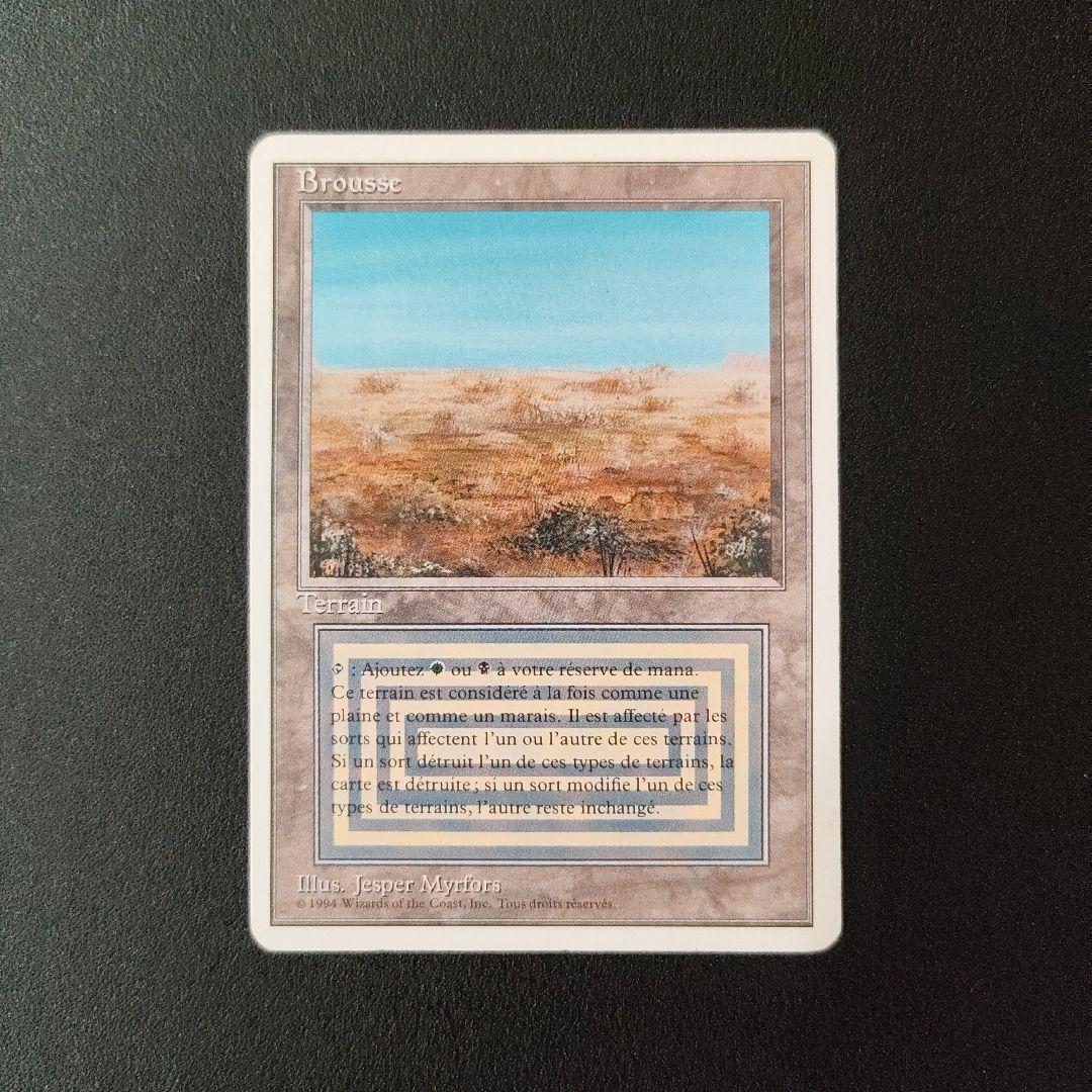 MTG Scrubland フランス語版 リヴァイズド 3ED 1994年