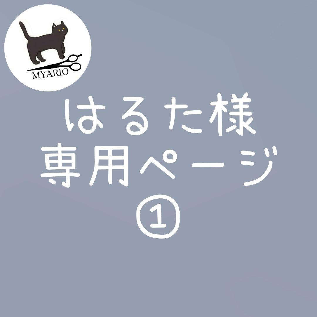お見積もり専用ページ(#449-1)