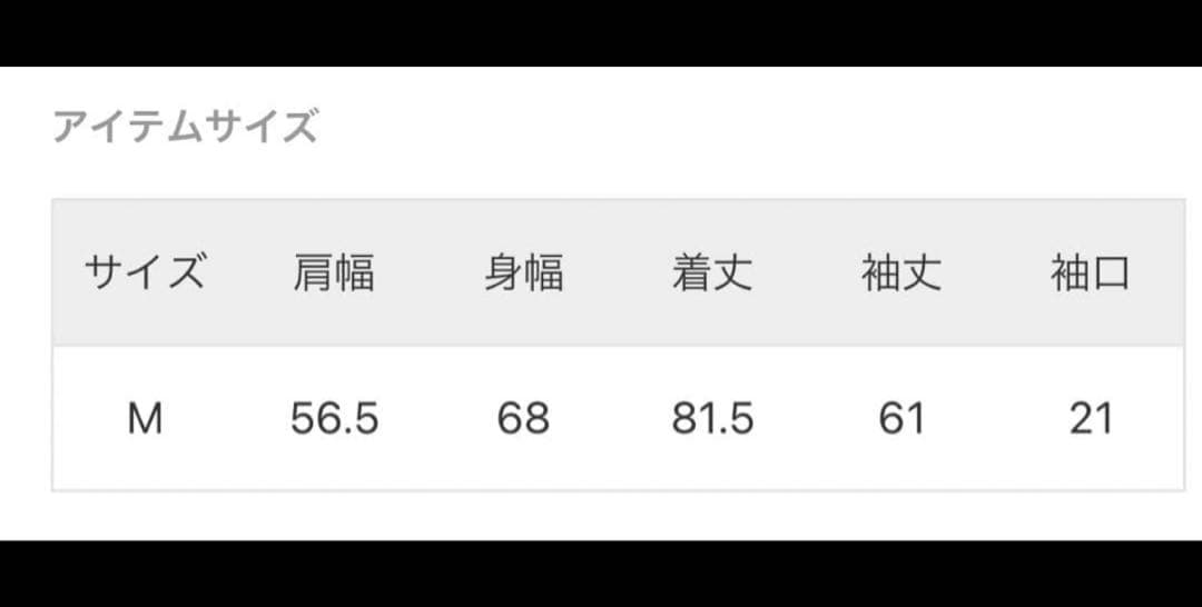 ポロ・ラルフ・ローレン 長袖シャツ