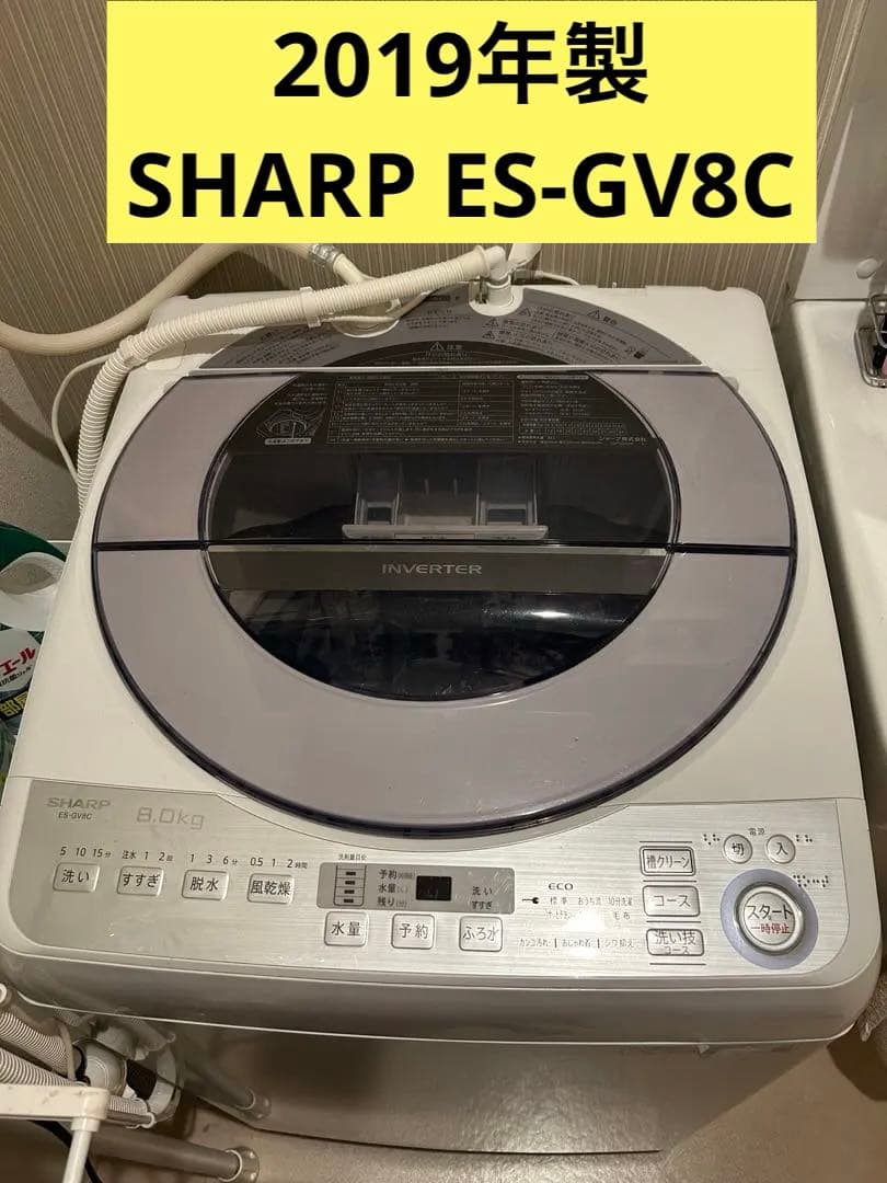 2019年製　SHARP ES-GV8C 縦型洗濯機8.0kg