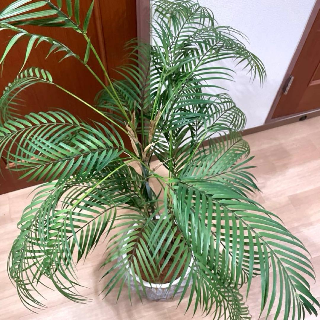 【港区にて直接お渡しも可能】　エミリオ　ロバ　パーム　グリーン