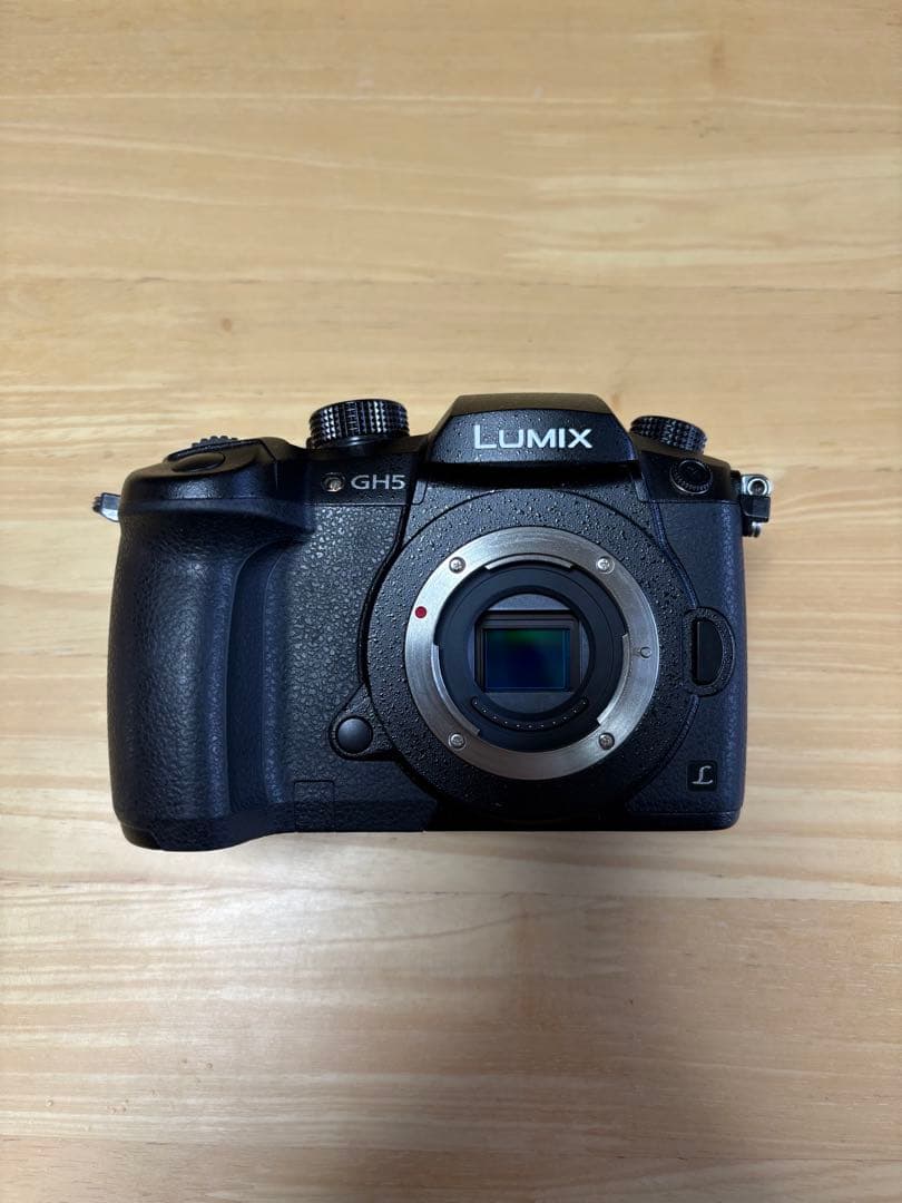 LUMIX GH5 ミラーレスカメラ