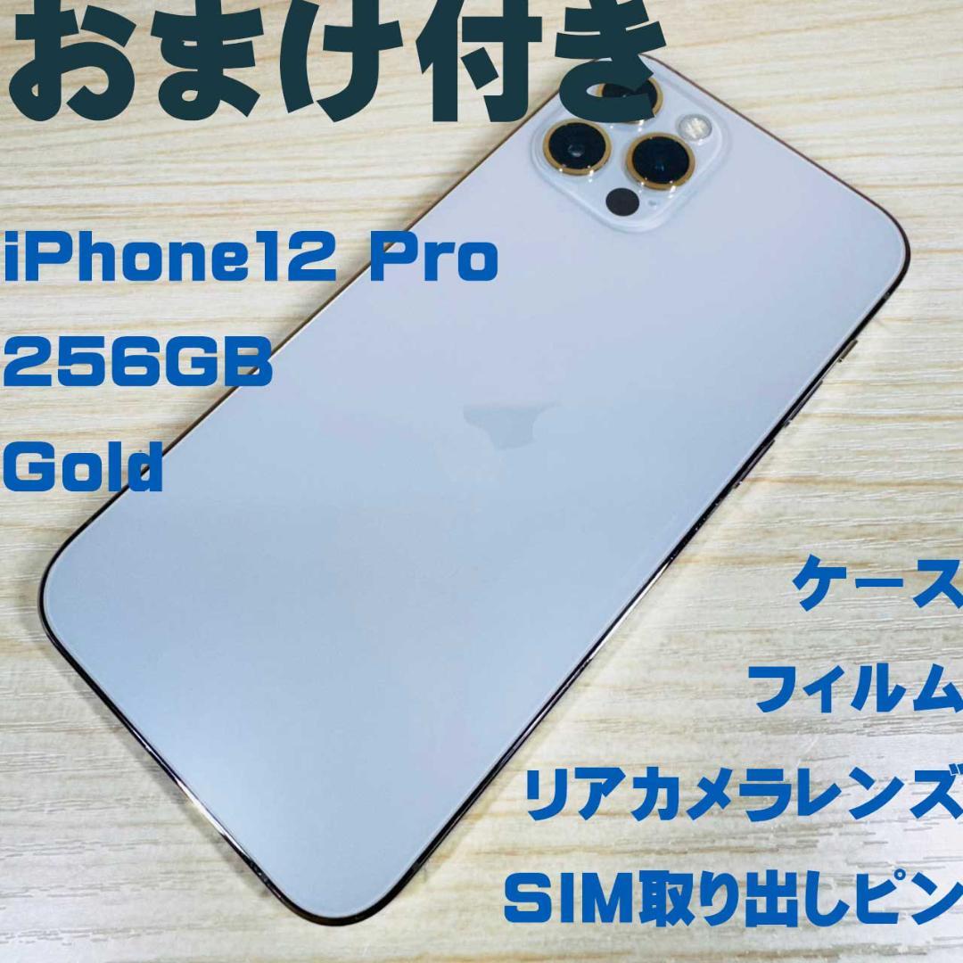 P208 SIMフリー iPhone12 Pro 256GB おまけ付き
