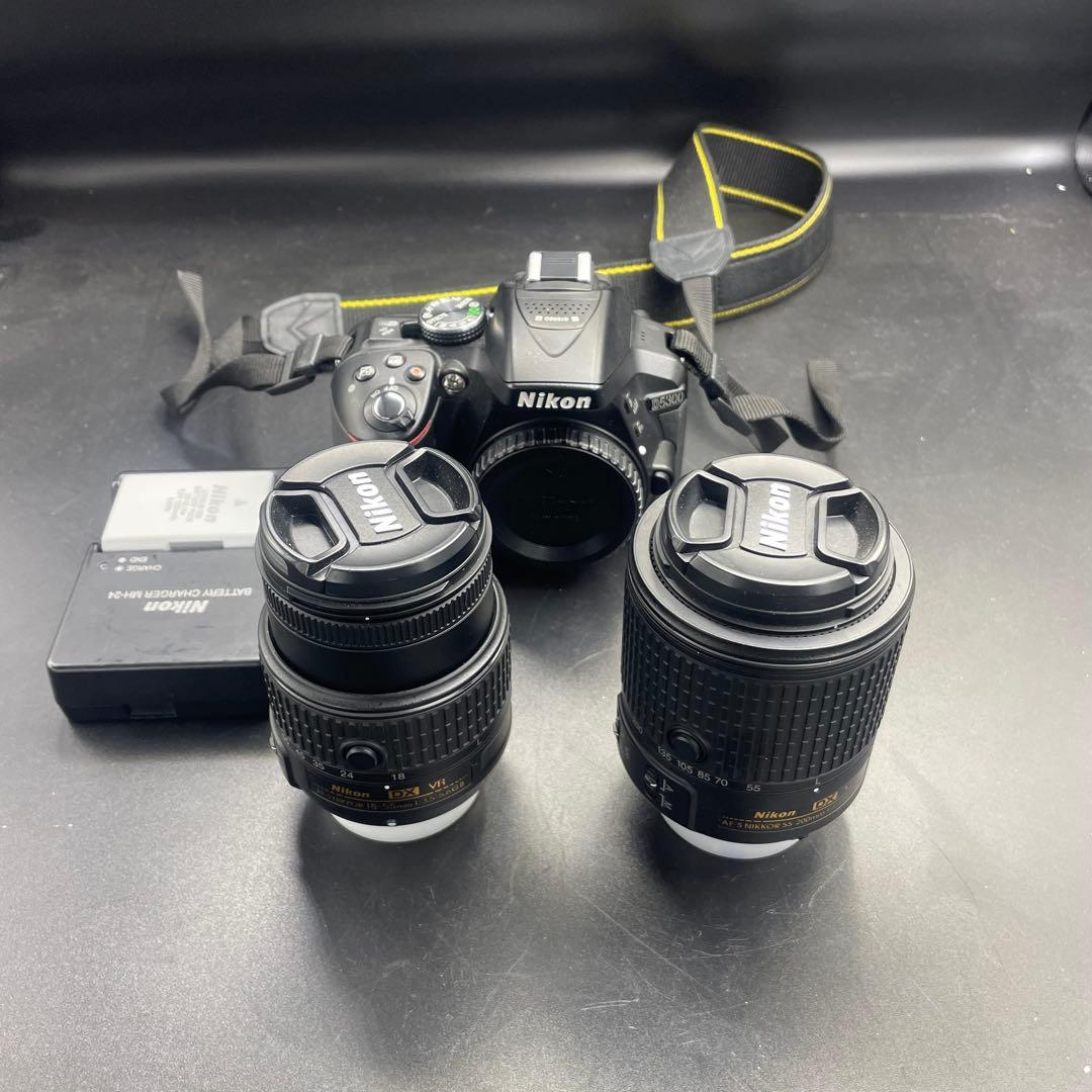 Nikon D5300 ダブルズームレンズキット ショット数5269枚