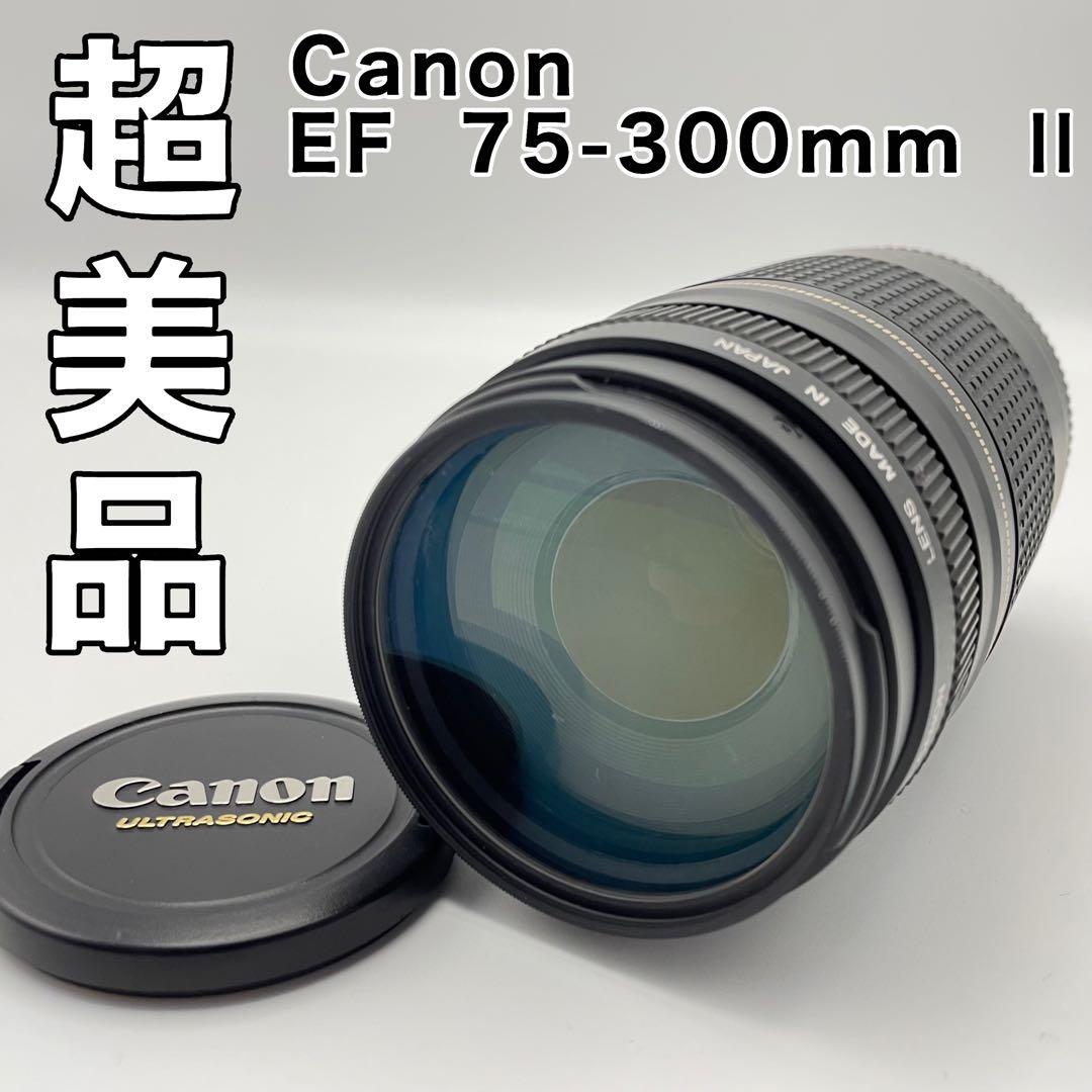 Canon EF 75-300mm F/4-5.6 II 超望遠レンズ　キャノン