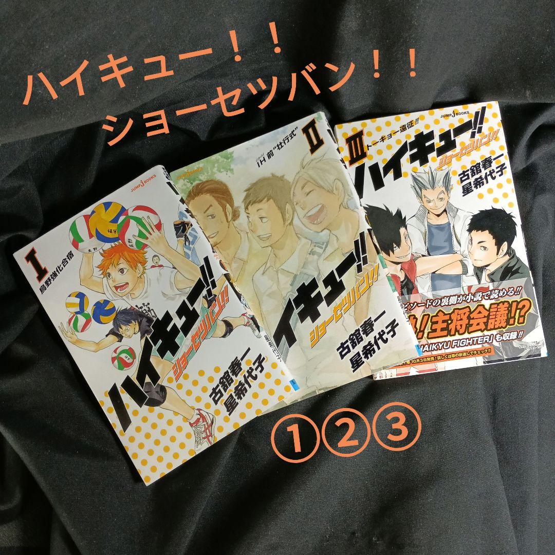 ハイキュー！！全巻セット特装版つき