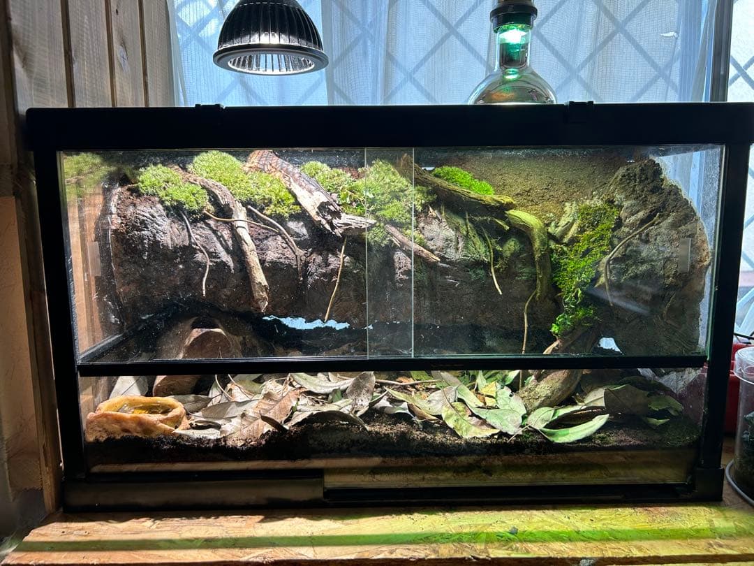 爬虫類ケージ　レイアウト品
